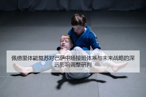 pei-de-li-ti-neng-fu-su-dui-ba-sa-zhong-chang-jie-ban-ti-xi-yu-wei-lai-zhan-lve-de-shen-yuan-ying-xiang-tiao-zheng-yan-2-678.jpg