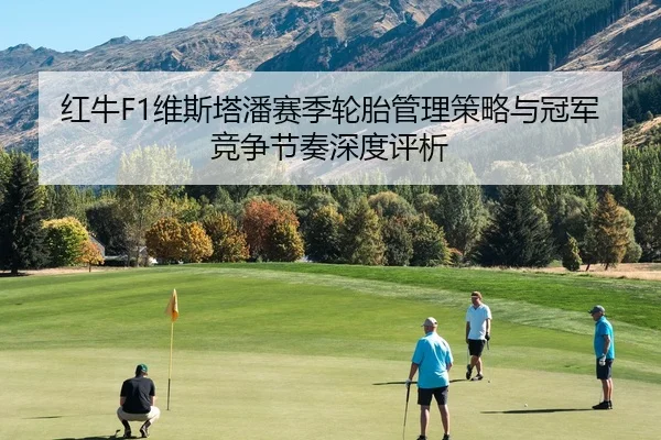 红牛F1维斯塔潘赛季轮胎管理策略与冠军竞争节奏深度评析